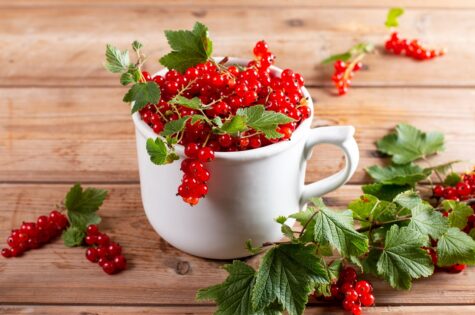 Fresh red currants in a cup on wooden table